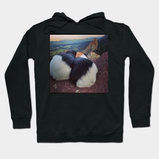 Guinea Pigs Hoodie